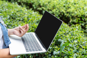 WordPress Hosting & Green Design for a Sustainable Web